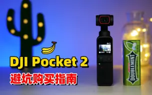 Download Video: 买前必看，DJI Pocket 2 避坑购买指南 by 极地手记