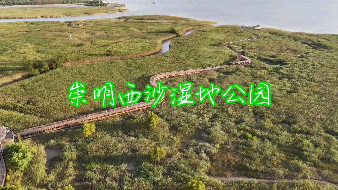 崇明西沙湿地公园