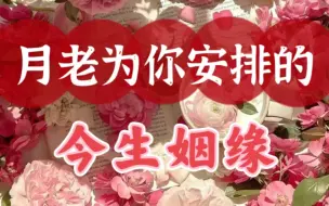 Download Video: 【蔚梨梨】月老给你安排的今生姻缘 有哪些要修的课题？