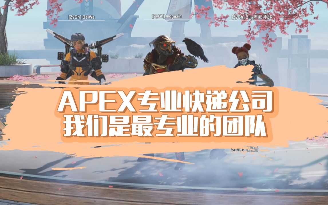 【APEX】专业快递公司我们是最专业的团队哔哩哔哩bilibili