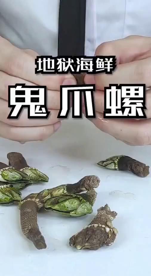 为什么叫来自地狱的海鲜因为硬吗开箱 沙雕_哔哩哔哩 (゜-゜)つロ