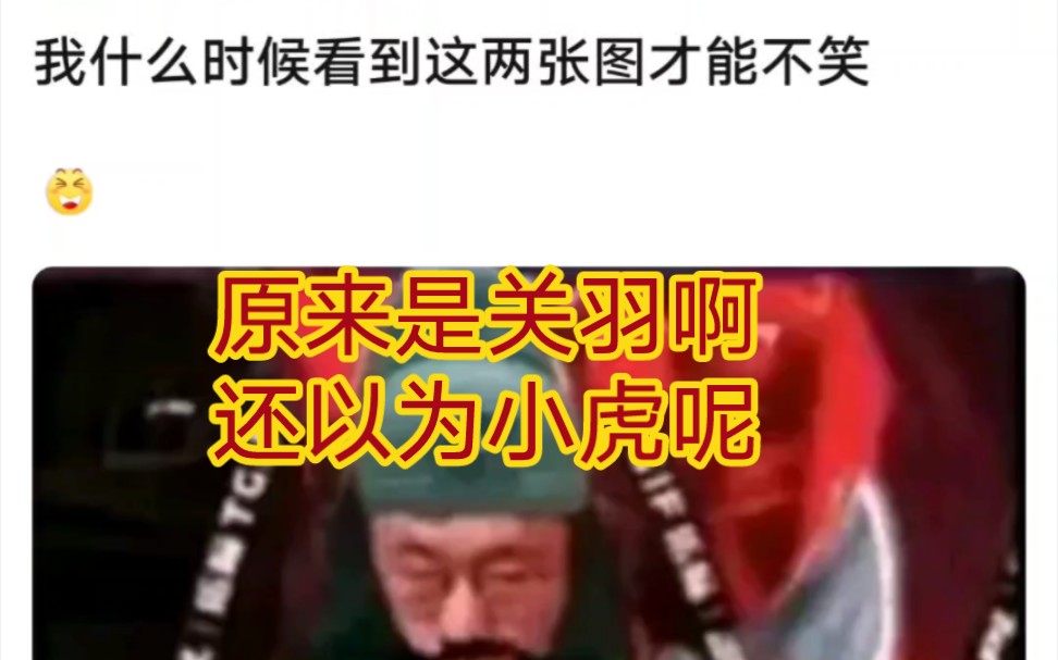 贴吧热议小虎关羽皮肤,原来是二爷在打比赛哔哩哔哩bilibili三国杀