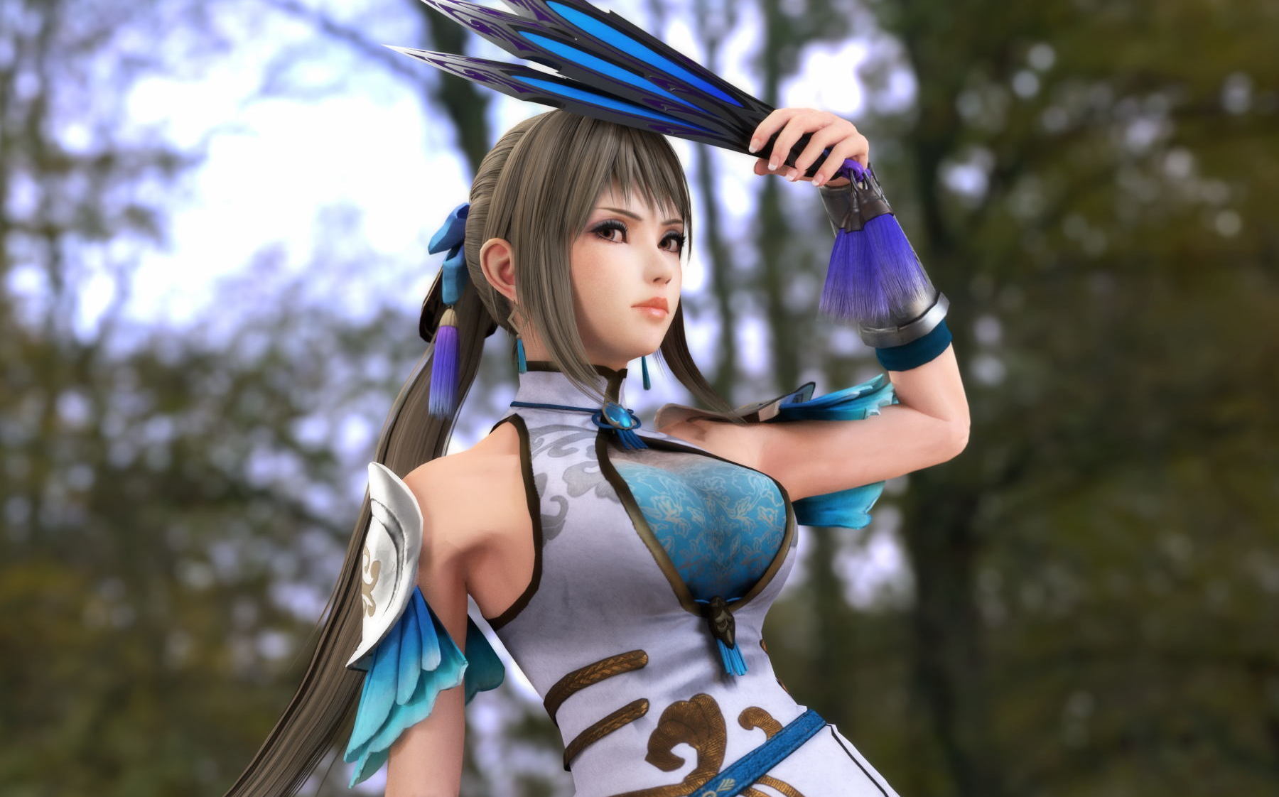 无双大蛇2u 王元姬 夫婿获得战