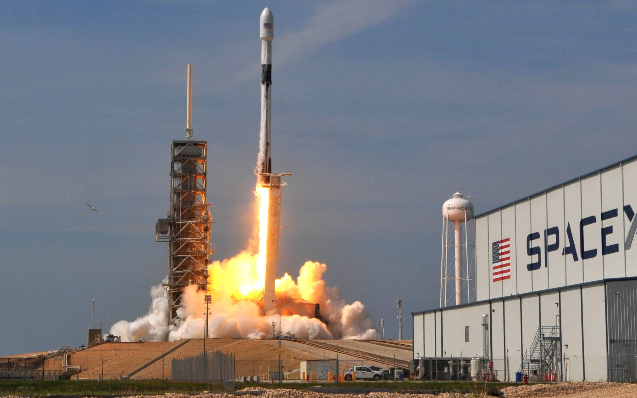 spacex能将100万人送上火星中国电竞人才缺口达50万