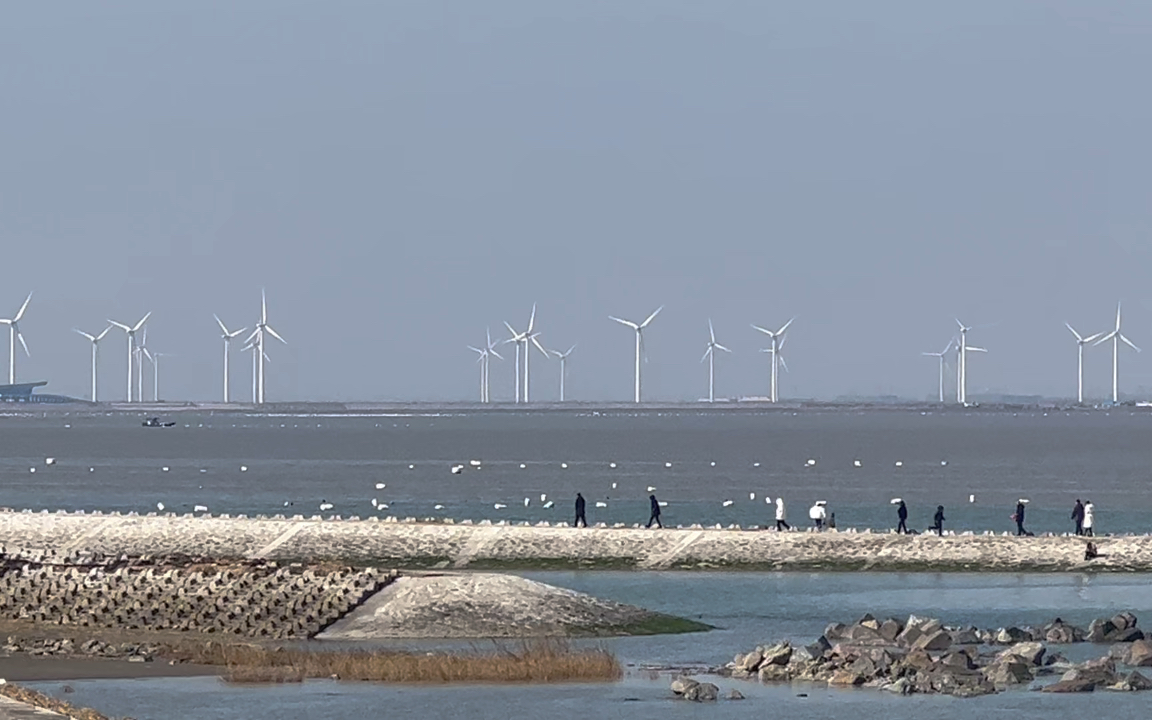 大过年的来通州湾看海