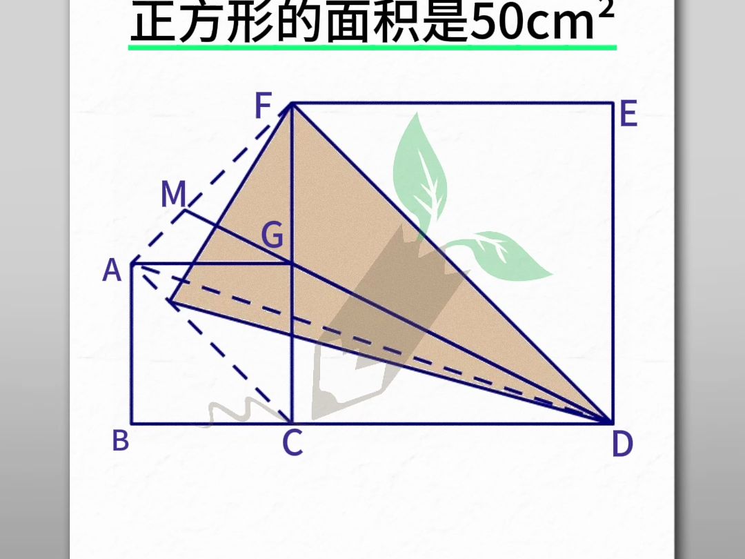 小學陰影面積之等積模型