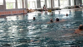 上海市水球联赛徐汇对杨浦 哔哩哔哩 つロ干杯 Bilibili