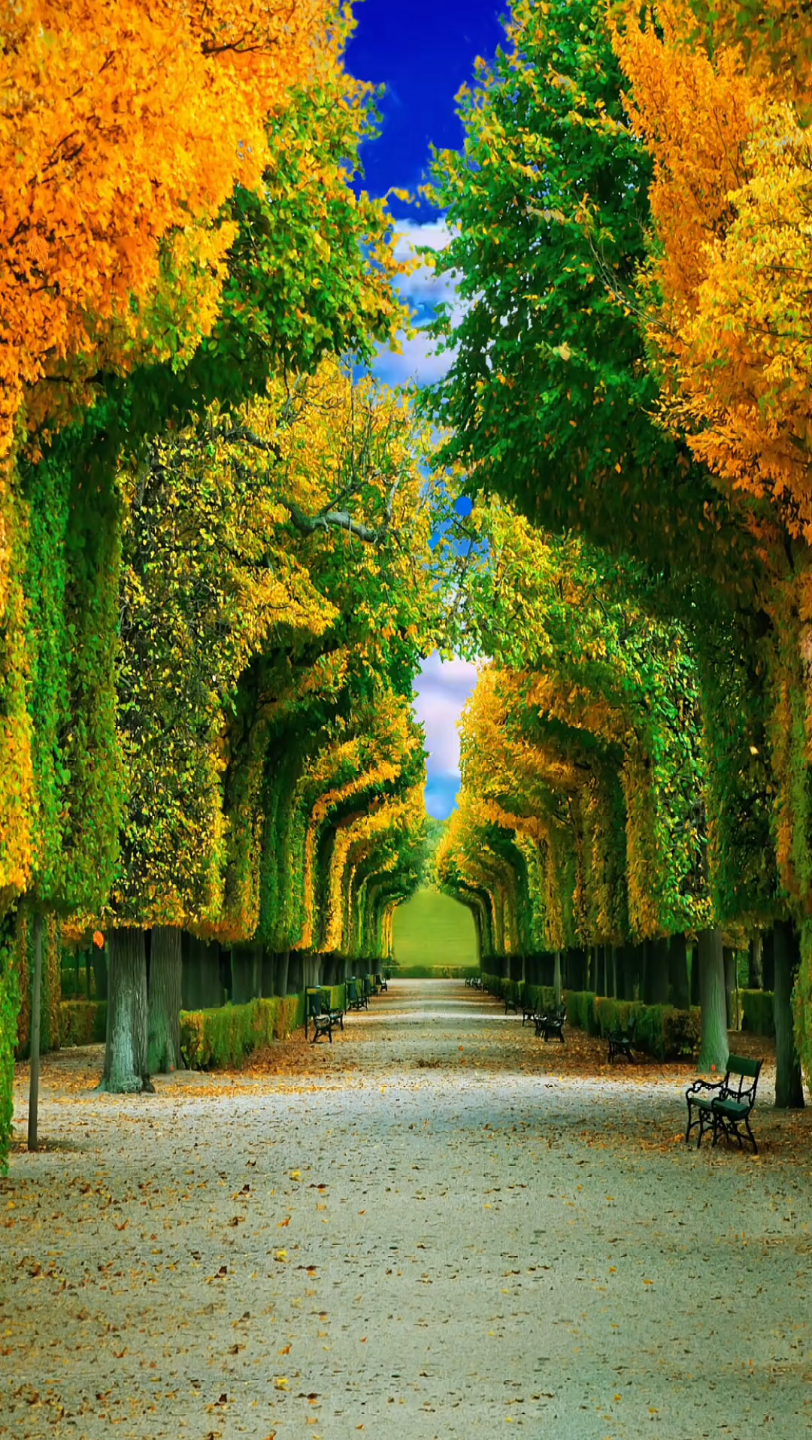 唯美意境 #立秋