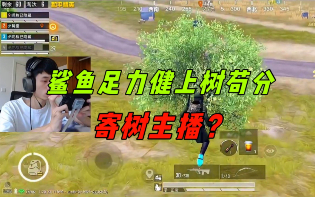 《新版本人人都是寄树主播?鲨鱼树上当老六,决赛圈极限吃鸡!》-鲨雕哟sdy-鲨雕哟sdy-哔哩哔哩视频
