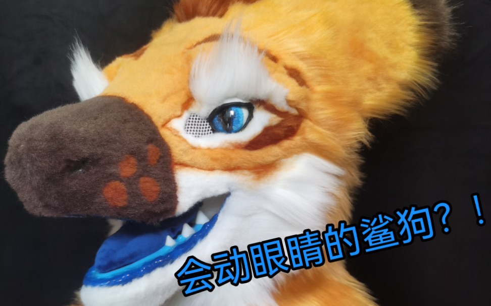 【fursuit】这只鲨狗会动眼睛哎!哔哩哔哩bilibili