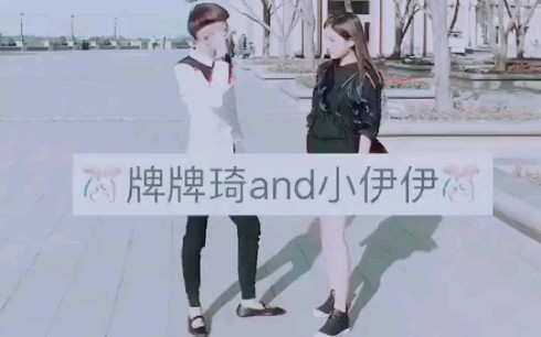 牌牌琦and小伊伊最美情侣摇哔哩哔哩bilibili