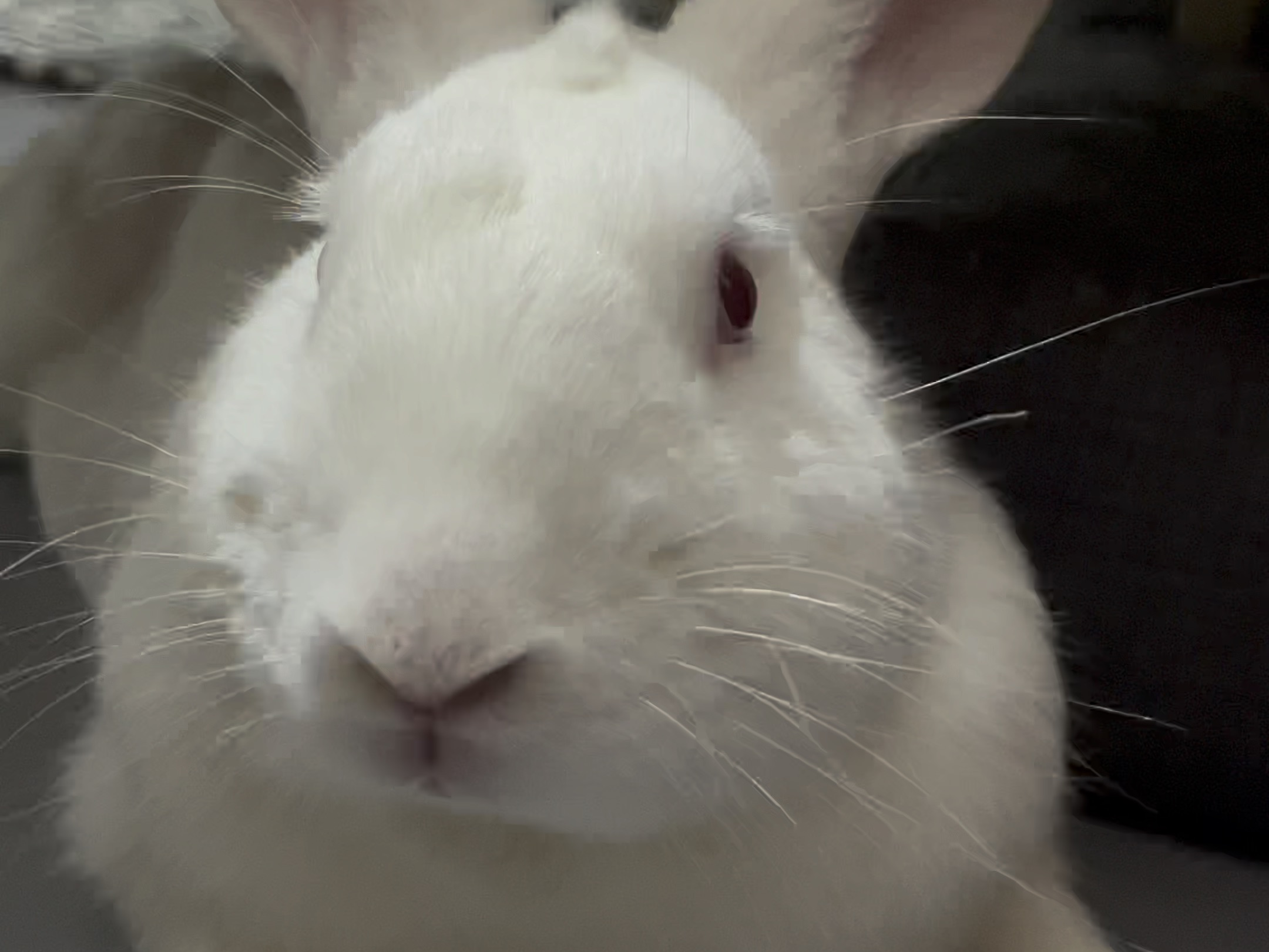 听说大家喜欢怼脸拍呀