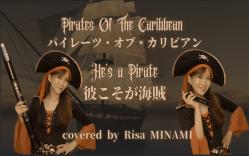 [图]「Hes a Pirate / 加勒比海盗」covered by 南里沙【半音阶口琴・EWI】 /chromaticharmonica