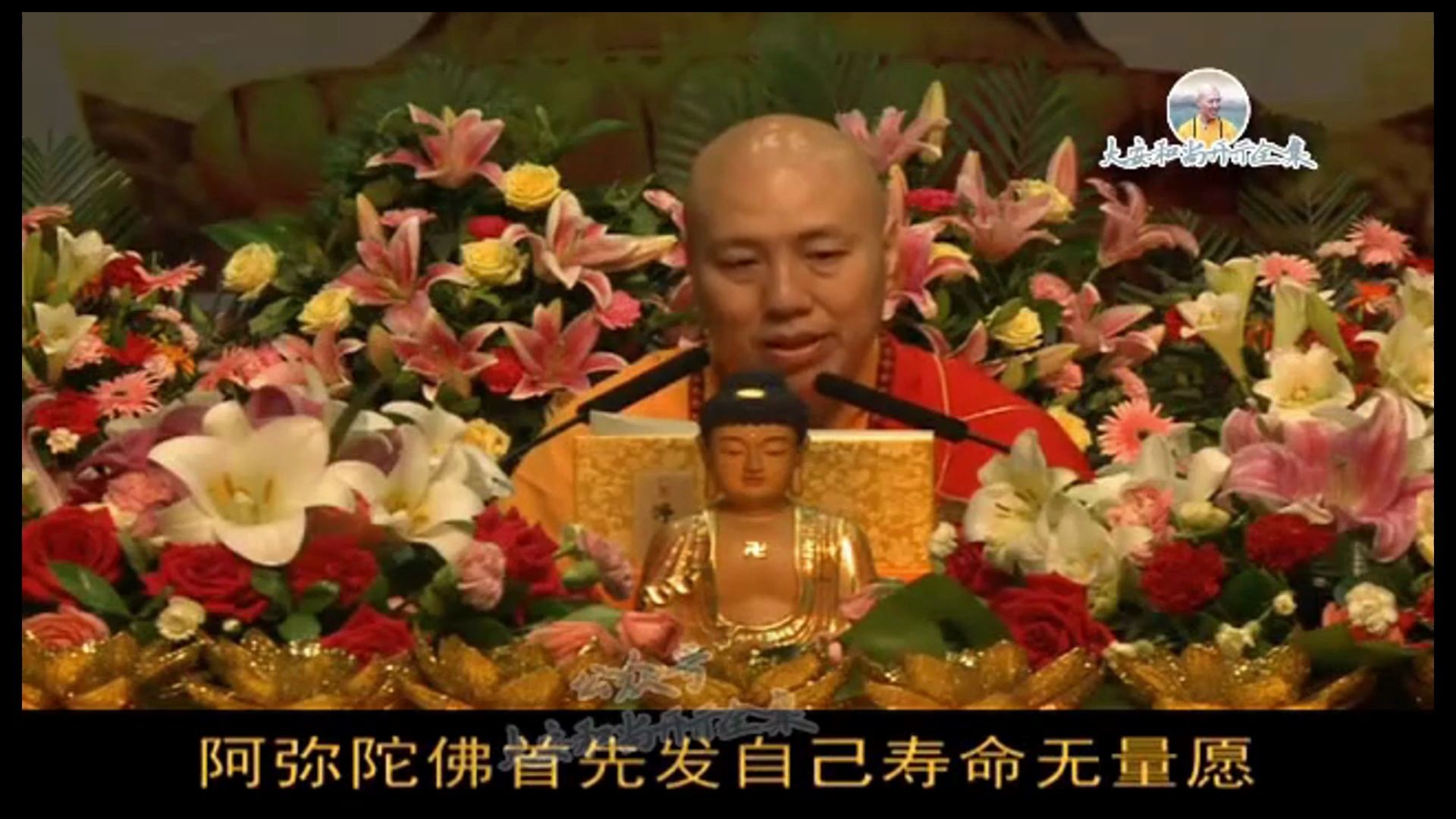 "阿弥陀佛无量寿" 在传达什么? 大安法师开示