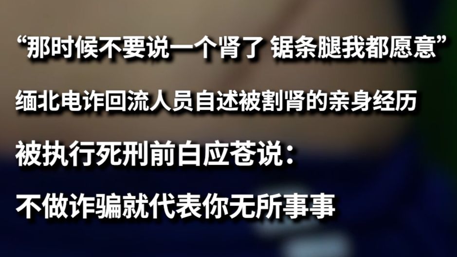 一手作恶、操控电诈的头目白应苍，已被依法执行死刑。临刑前他痛哭忏悔、向国人致歉。