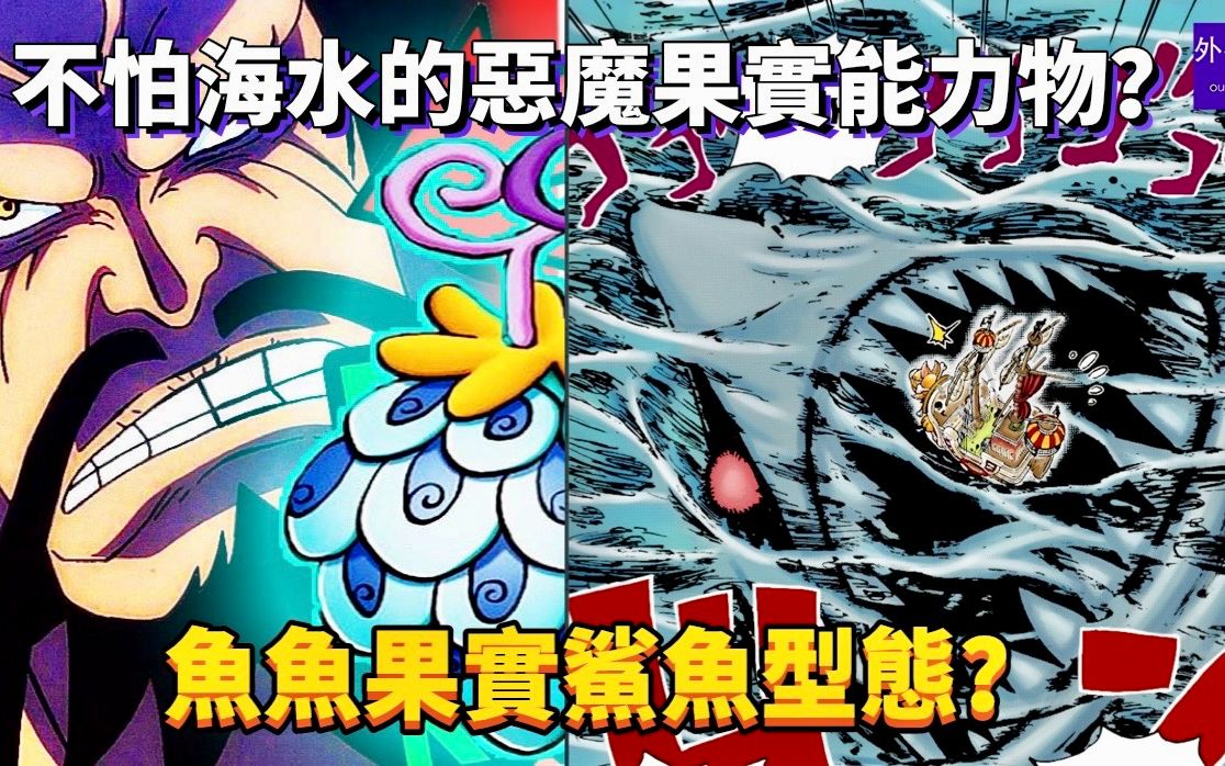 魚魚果實鯊魚型態?不怕海水的惡魔果實能力物?#368