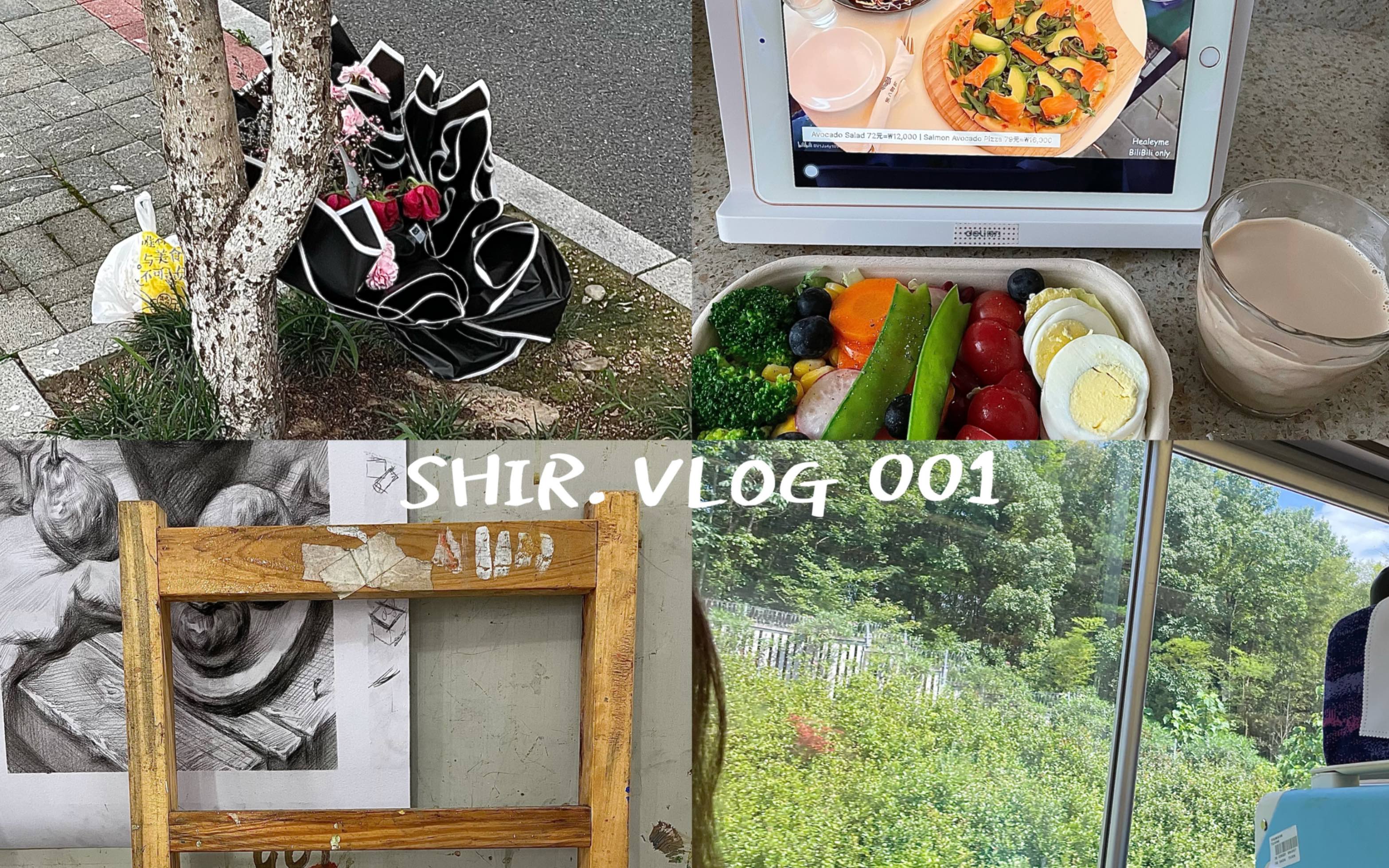 SHIR. VLOG 001|欢迎光临我所有的生活哔哩哔哩bilibili