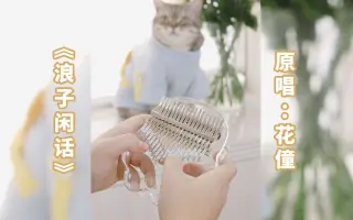 【水晶拇指琴】短视频超火的《浪子闲话》，小猫咪都听入迷了~