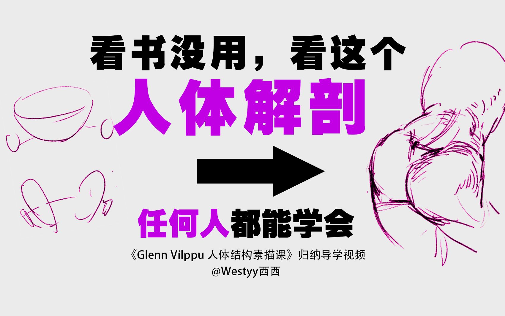 看半天解剖书不如看这个,轻松学解剖自学Glenn Vilppu人体课不瞌睡指南3!人体解剖学习从此不迷茫!哔哩哔哩bilibili