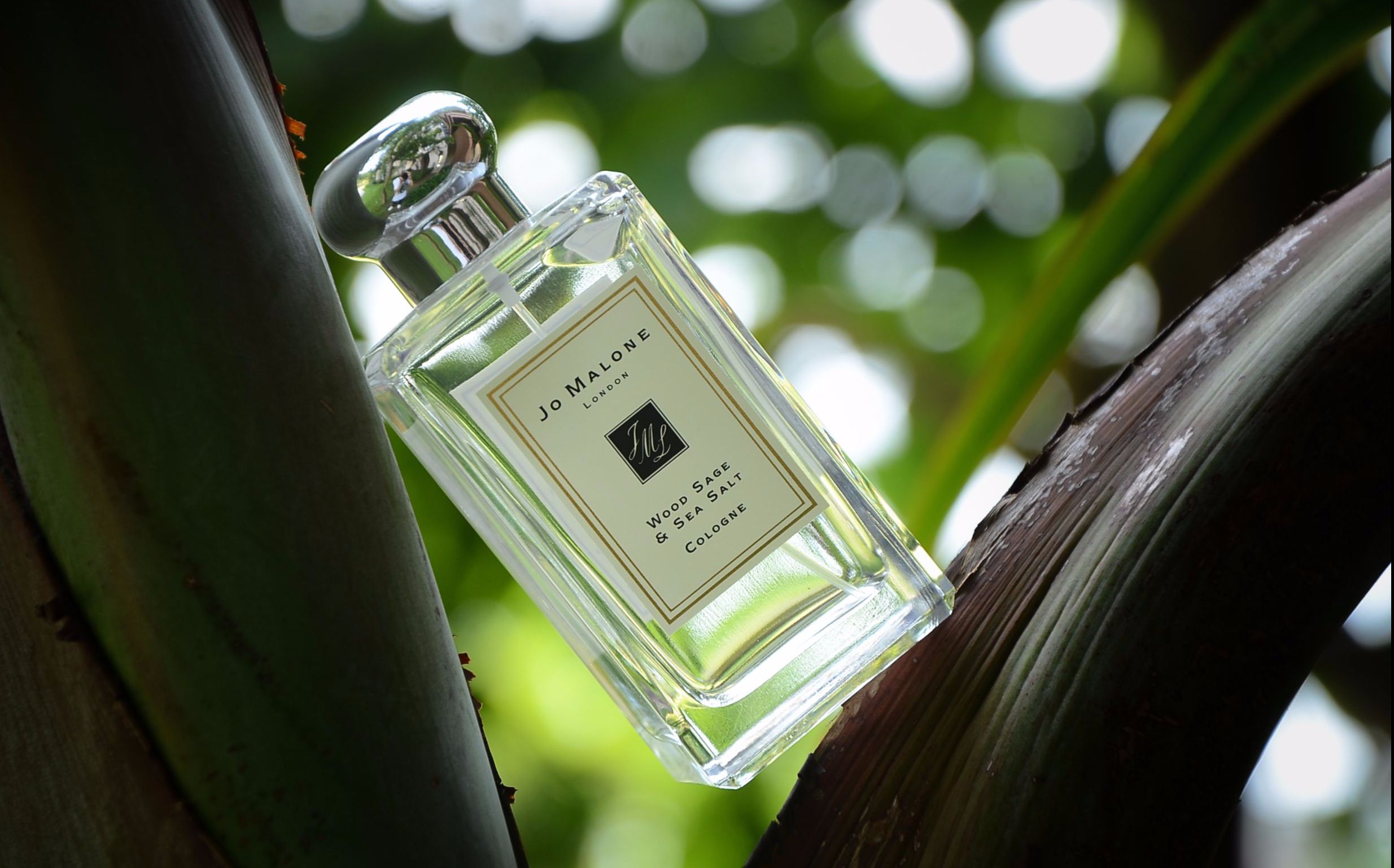 半斤香水评测04鼠尾草海盐