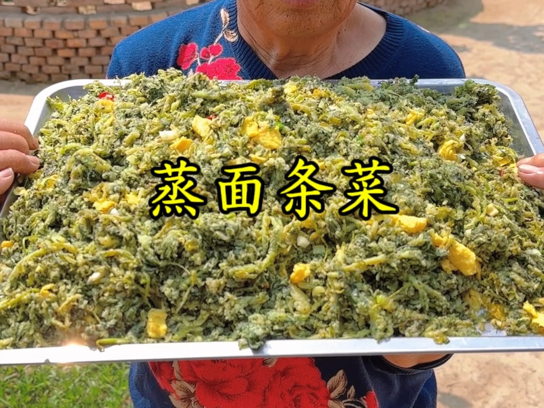 奶奶今天蒸面条菜,蒸完再炒一下比饭店做的都好吃,我们这里叫面条菜.也叫麦瓶草你们那里叫什么呢?哔哩哔哩bilibili