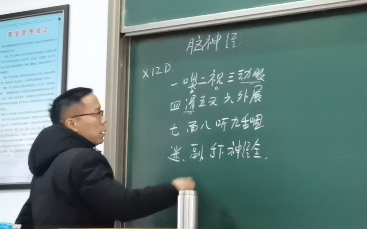 山东第一医科大学康本【脑神经1】哔哩哔哩bilibili