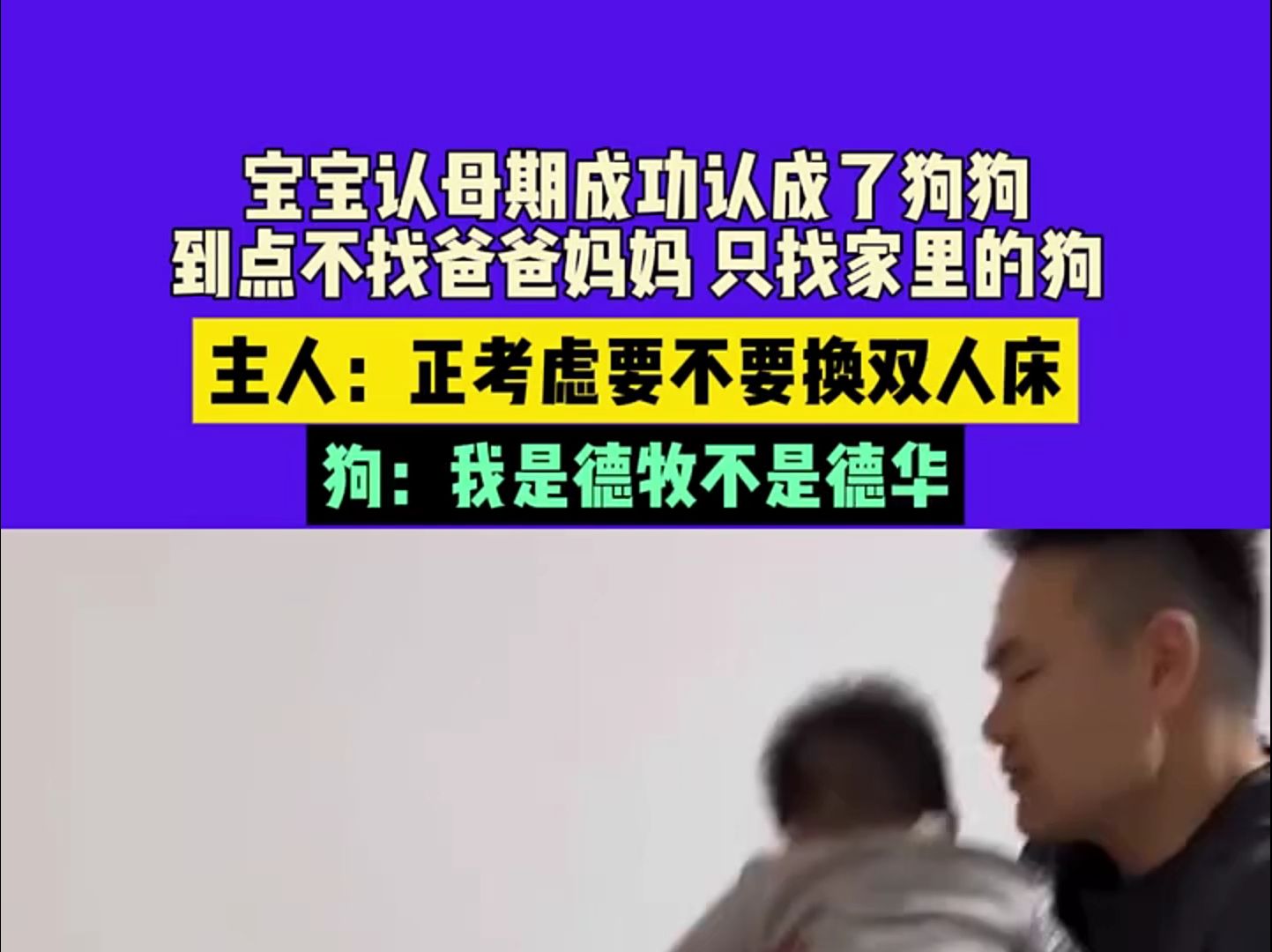 宝宝认母期成功认成了狗狗 到点不找爸爸妈妈 只找家里的狗 (来源:河南民生频道)哔哩哔哩bilibili