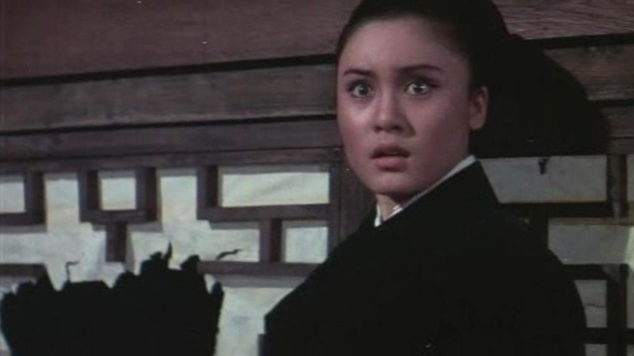 女拳师 A Girl Fighter(1972).720p