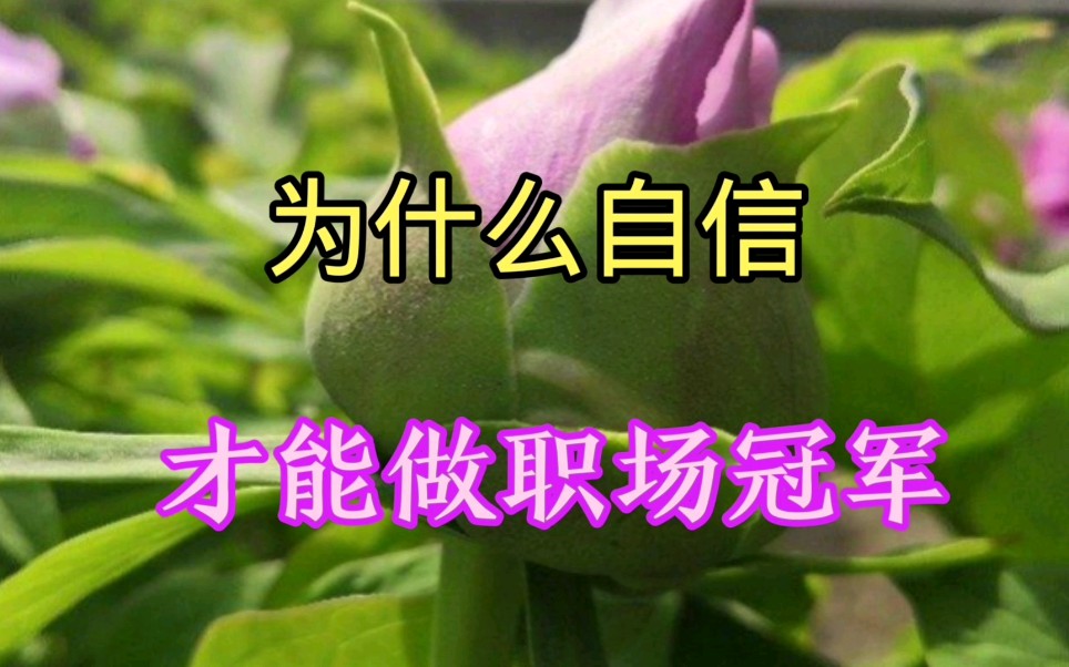 无论从事什么职业,自信都能给人以勇气