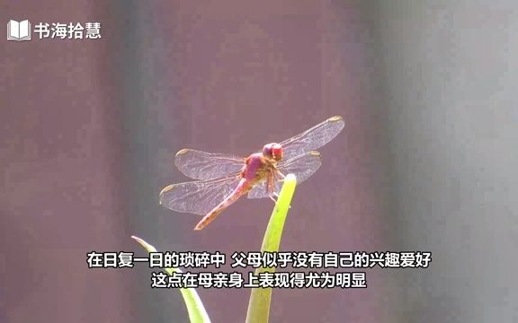 [图]好书解读：《极简父母法则》副标题：教出快乐、自信、独立的孩子。作 者【英】理查德·泰普勒（Richard Templar） 【书海拾慧】