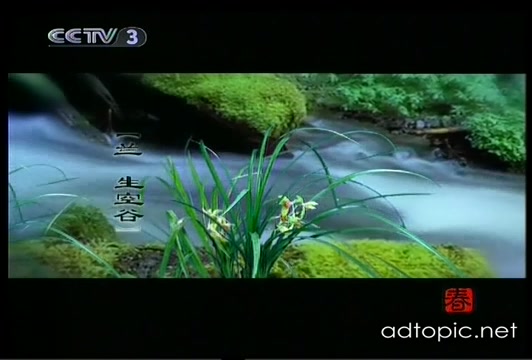 【cctv3公益广告】默默贡献