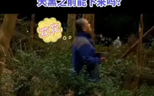 下载视频: 谭爷爷吐槽：花花，你说你爬那么高干嘛，天黑之前能下来吗