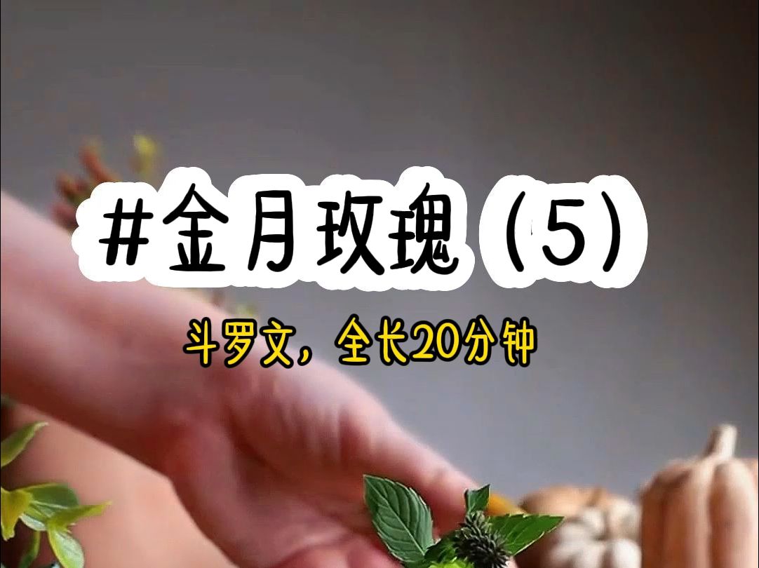 [图]茗《金月玫瑰》第5集