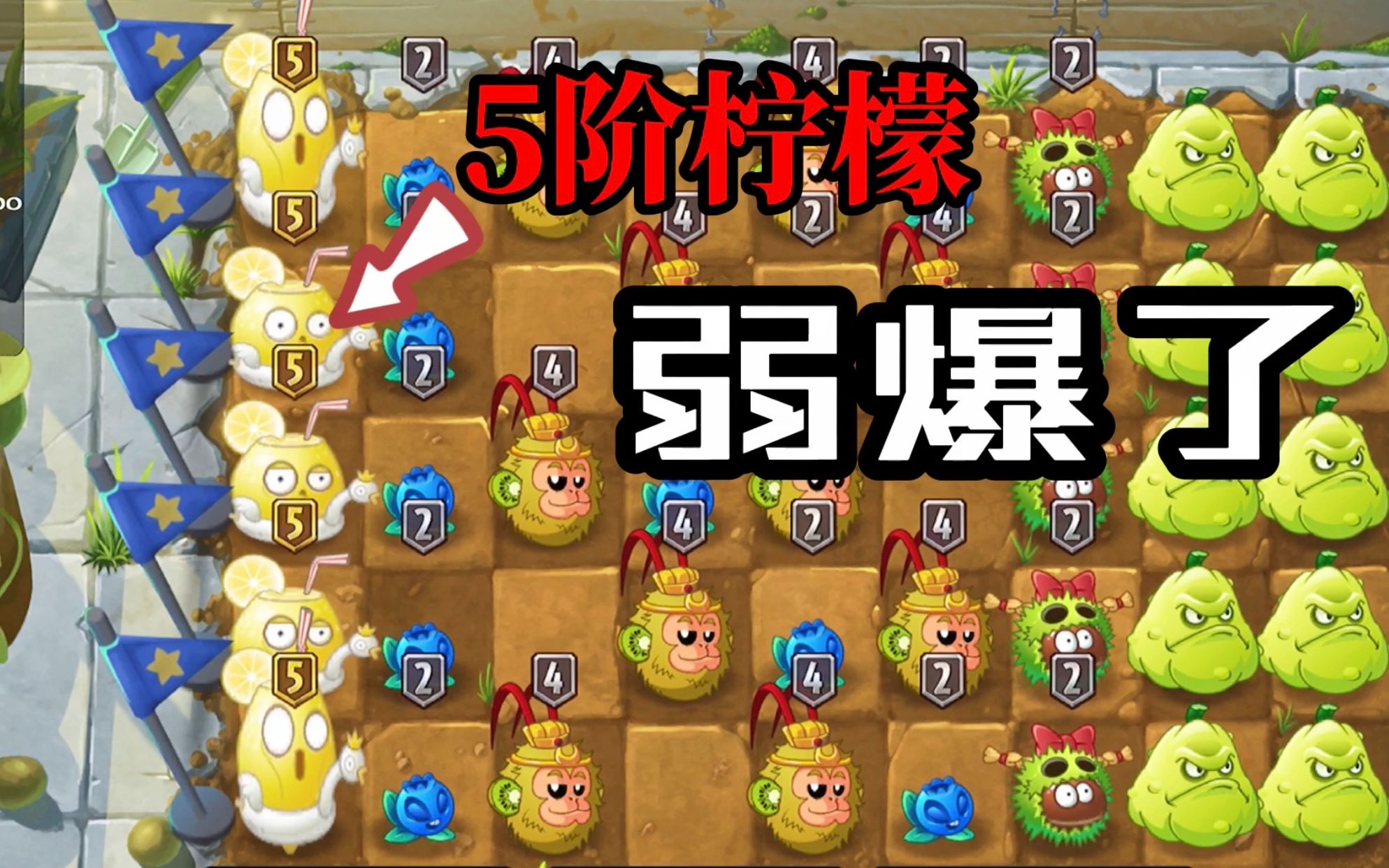 PVZ2:作为金卡的5阶柠檬很强?在花园战争中,它真的弱爆了!哔哩哔哩bilibili