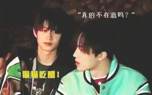 Download Video: 【苏朱|偏朱视角】猫猫也是会吃醋的！|“可今天，我已离不开你”意外于这是从朱包嘴里唱出来的歌！