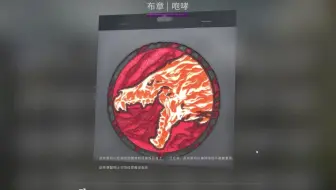 Csgo探员布章开箱试水 哔哩哔哩 Bilibili