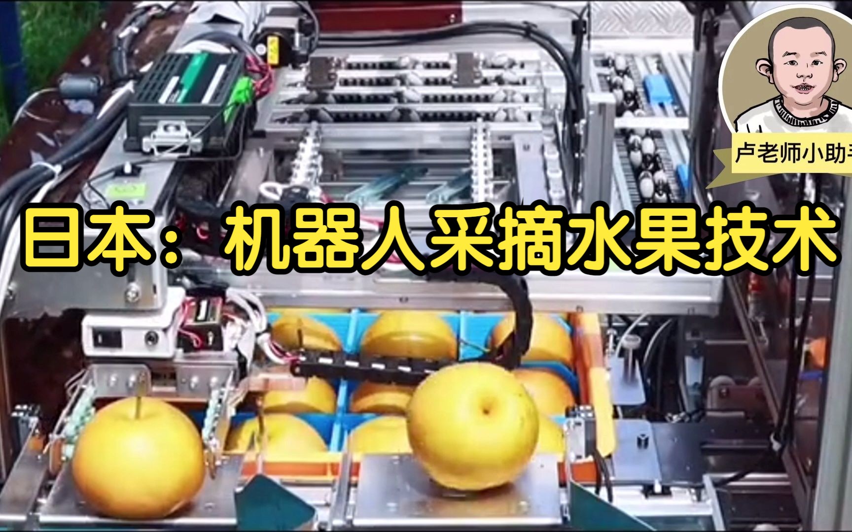 日本 :机器人采收水果技术!从智能化采摘到智能装箱,一体化作业!