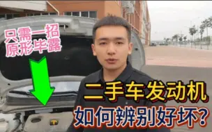 Download Video: 买车如何分辨发动机的好坏？修理工教你一招，汽车小白都能学会！