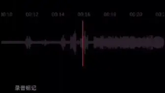 朝焼けの花 哔哩哔哩 Bilibili