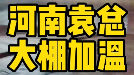 河南内黄袁总日光温室大棚,使用飞龙水源热泵空调加温,正在安装调试中.哔哩哔哩bilibili