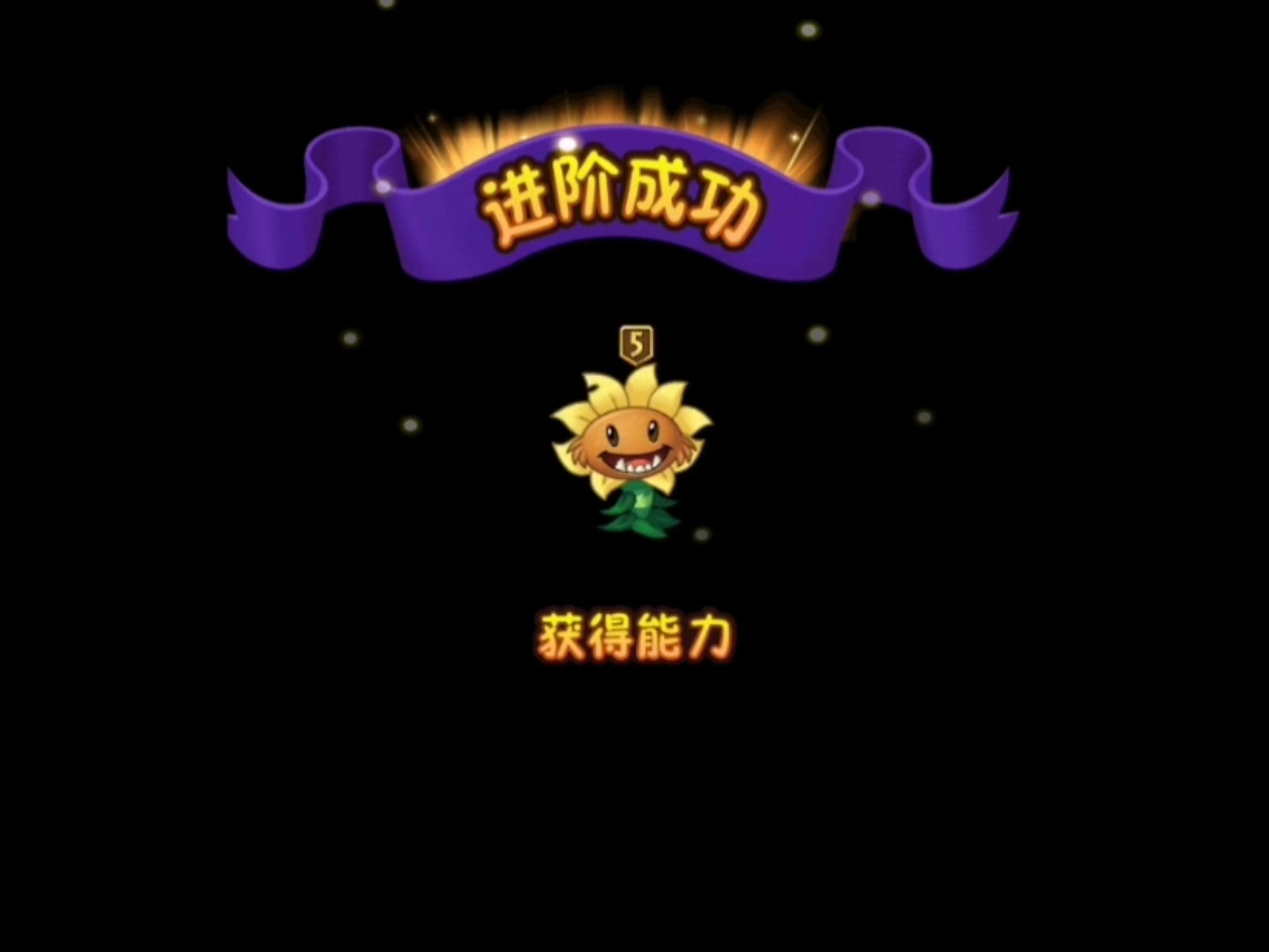 原始向日葵五阶了!