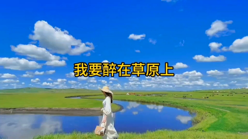 请欣赏优美的歌声我要醉在草原上 浓浓的草原情怀