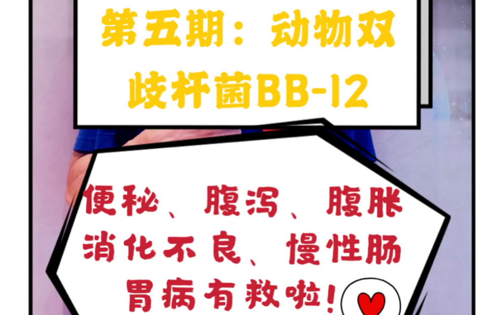 第五期,动物双歧杆菌BB12哔哩哔哩bilibili