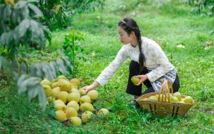 Télécharger la video: 满园的黄桃比拳头大，很多人以为只能做罐头，原来还有这么多吃法