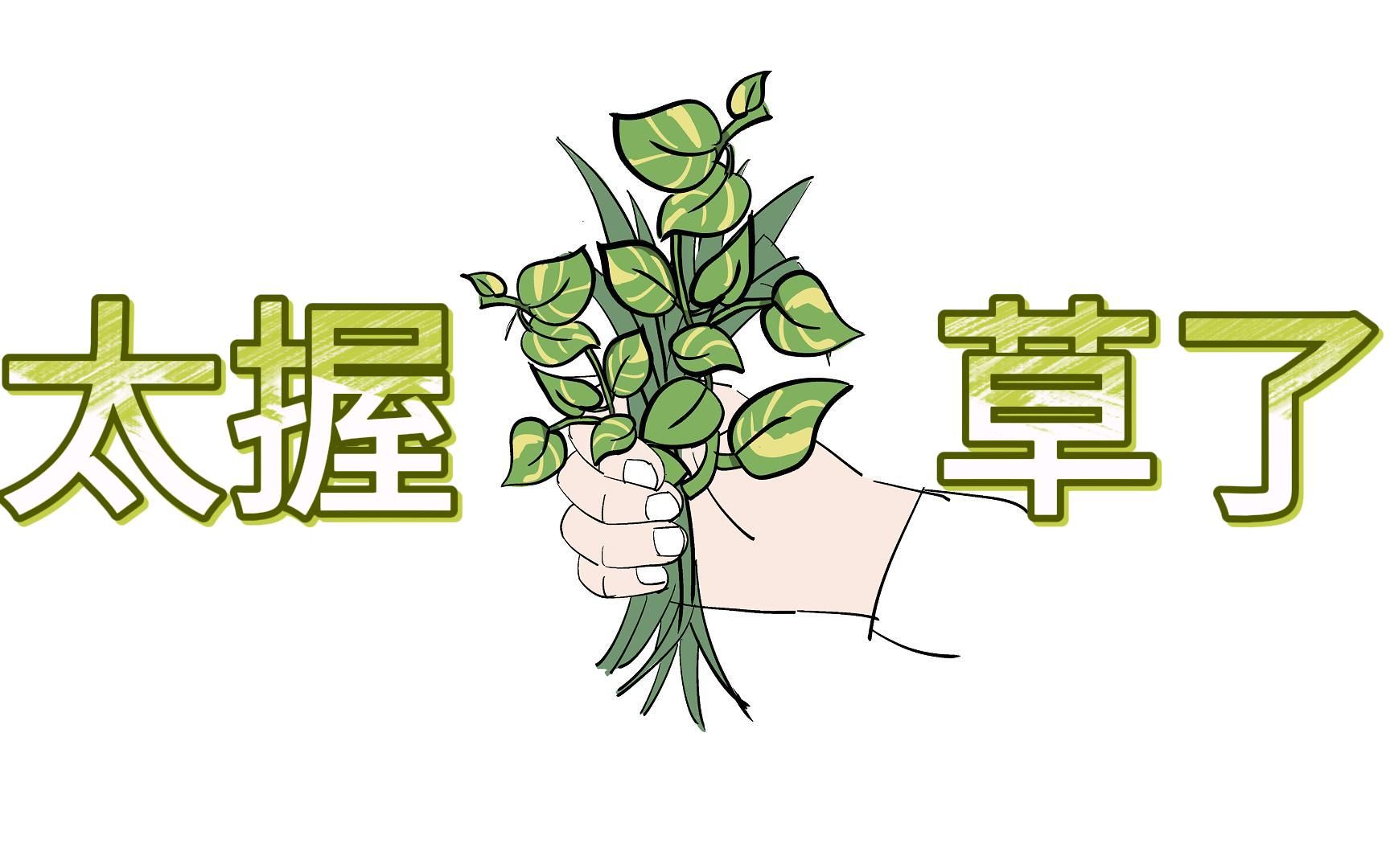 [图]万物有灵，草木知天意。