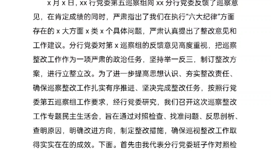 银行党委班子巡察整改民主生活会对照检查材料范文哔哩哔哩bilibili