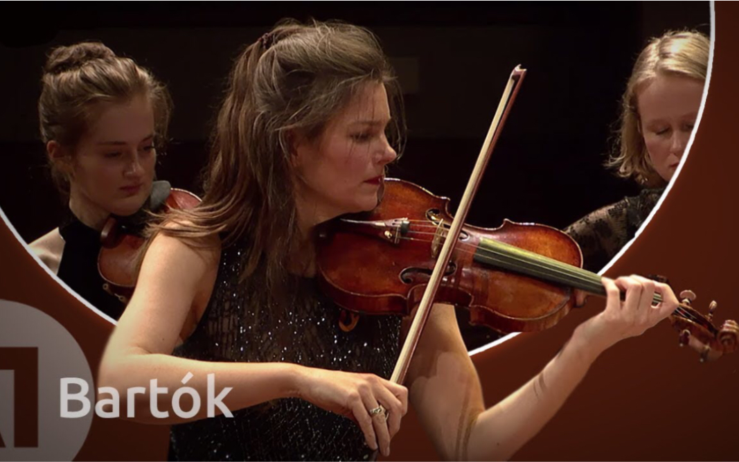 [图]珍妮•杨森 & 巴托克-弦乐嬉游曲 Bartók: Divertimento for String Orchestra/Janine Jansen-Violin