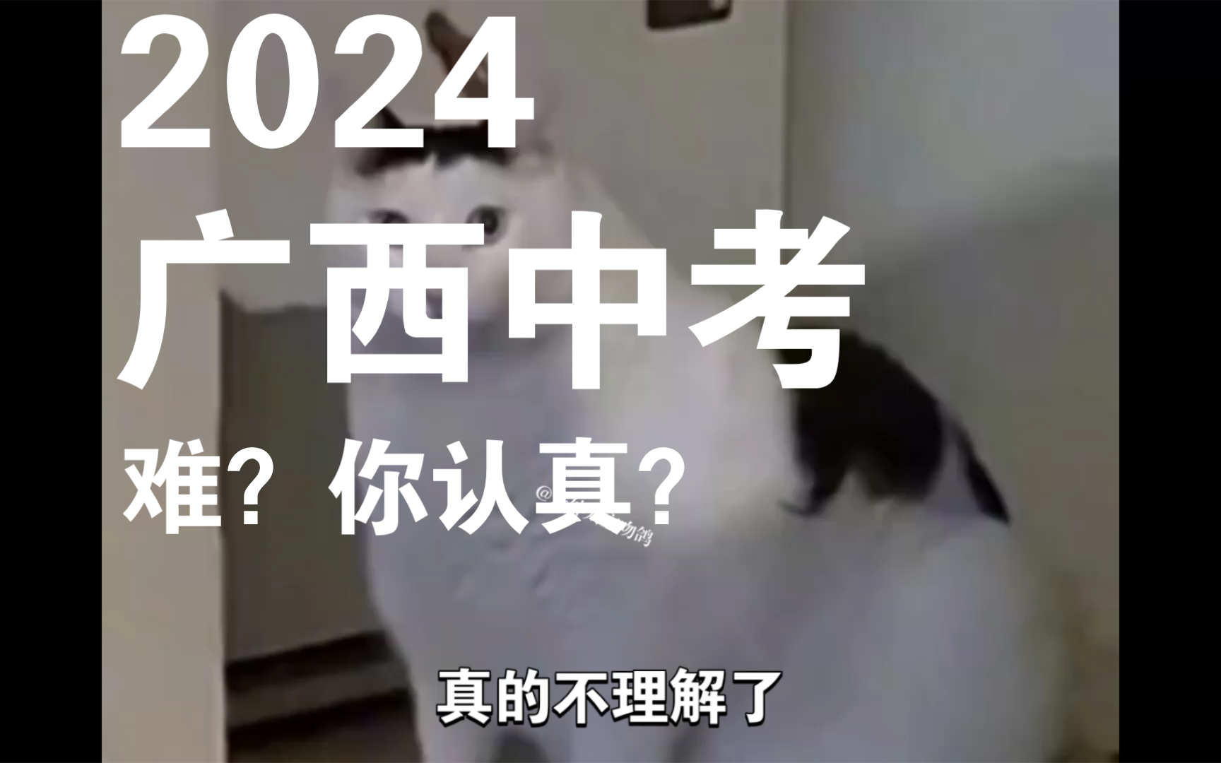 2024年广西中考难绷?【当代中学生精神状态】哔哩哔哩bilibili