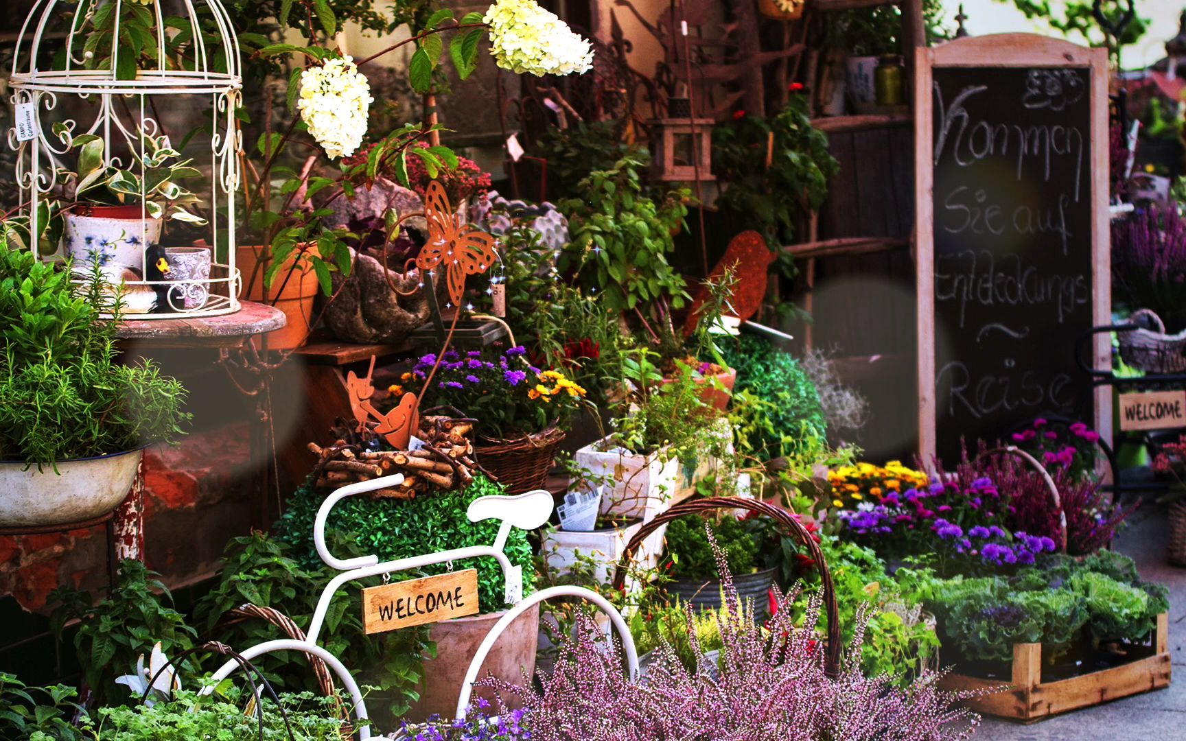 白噪音环境音欧洲购物街上的园艺花店喷壶洒水翻土换盆修枝剪叶花束