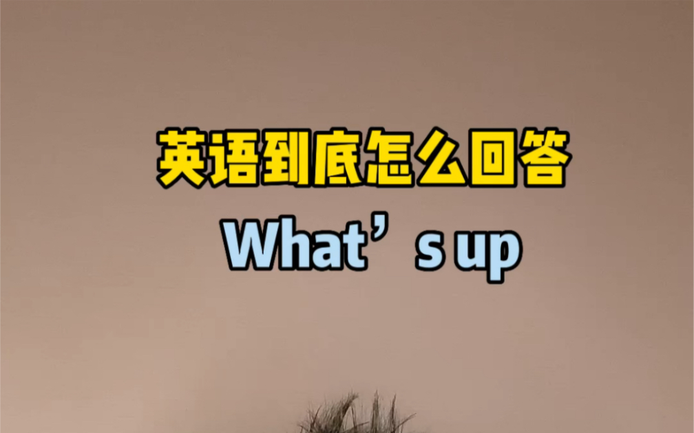 [图]英语到底如何回答“What’s up?”